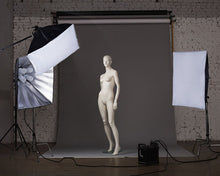 Load image into Gallery viewer, 2400 Watt Softbox Photo Studio Continuous Lighting Kit With Boom Arm Hairlight Softbox
